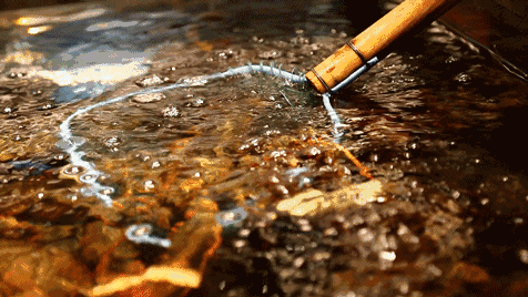 确认过眼神,这不是我认识的苏宁了!