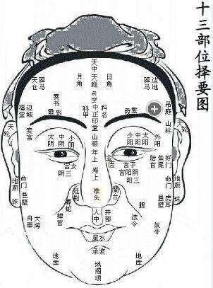 土形人:敦厚兼娟秀又丰,虎眉龟背项如熊.