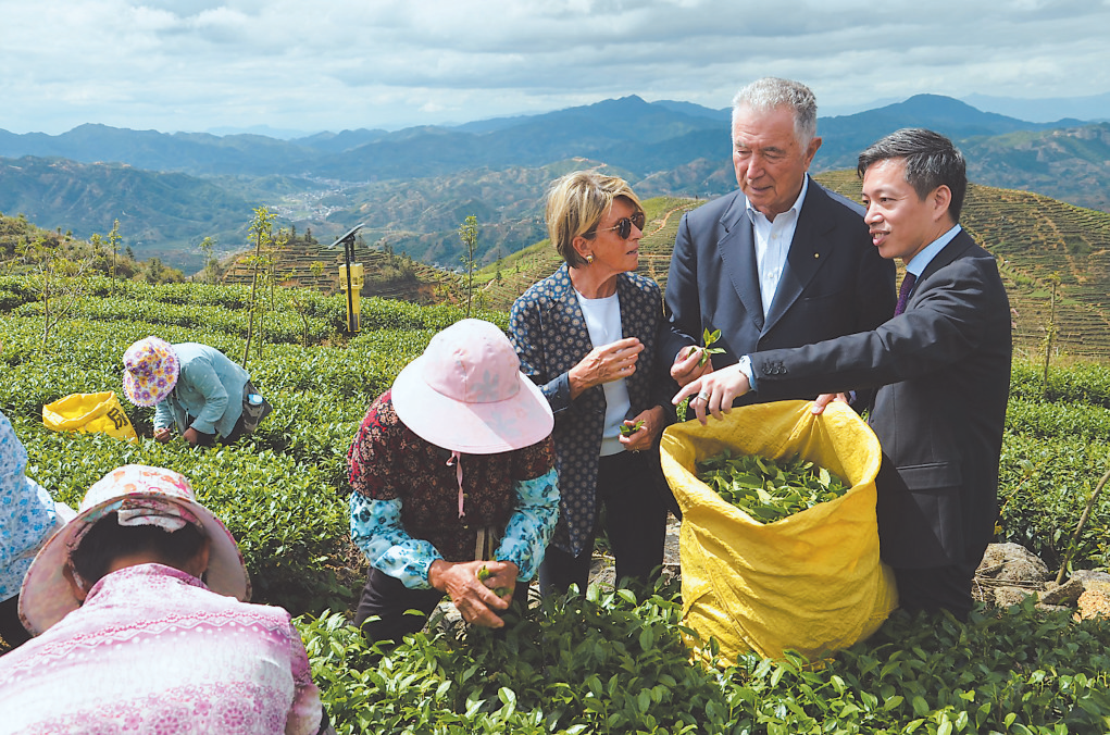 三和茶业董事长吴荣山(右)陪同欧洲客商察看铁观音茶山 刘益清 摄