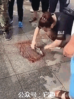 搞笑gif:快把档把藏起来,别让女主播看见了!