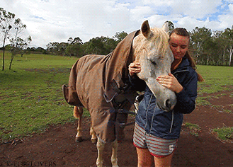 搞笑gif图片笑话段子:怎么了怎么了,自己老婆还不让亲