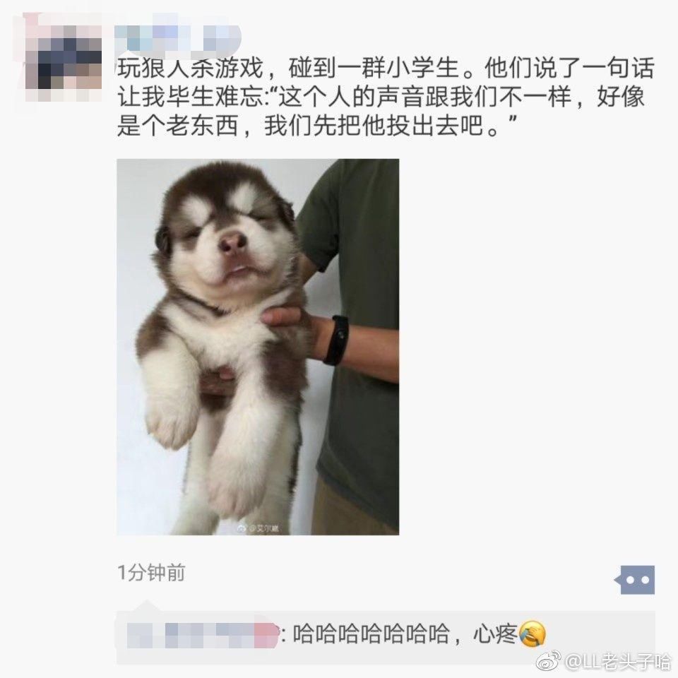 爱发心灵鸡汤的,也有爱发搞笑段子的,你在朋友圈里有没有看到过非常