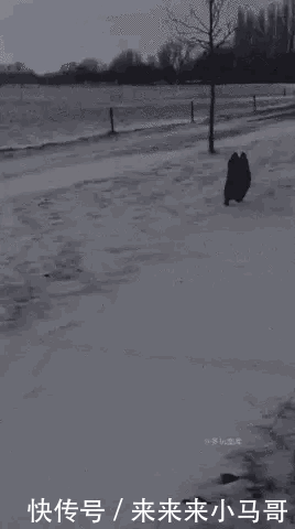 还有一次,朋友们在我家聚会,大家都走之后妹子说要留下来看我玩贪玩