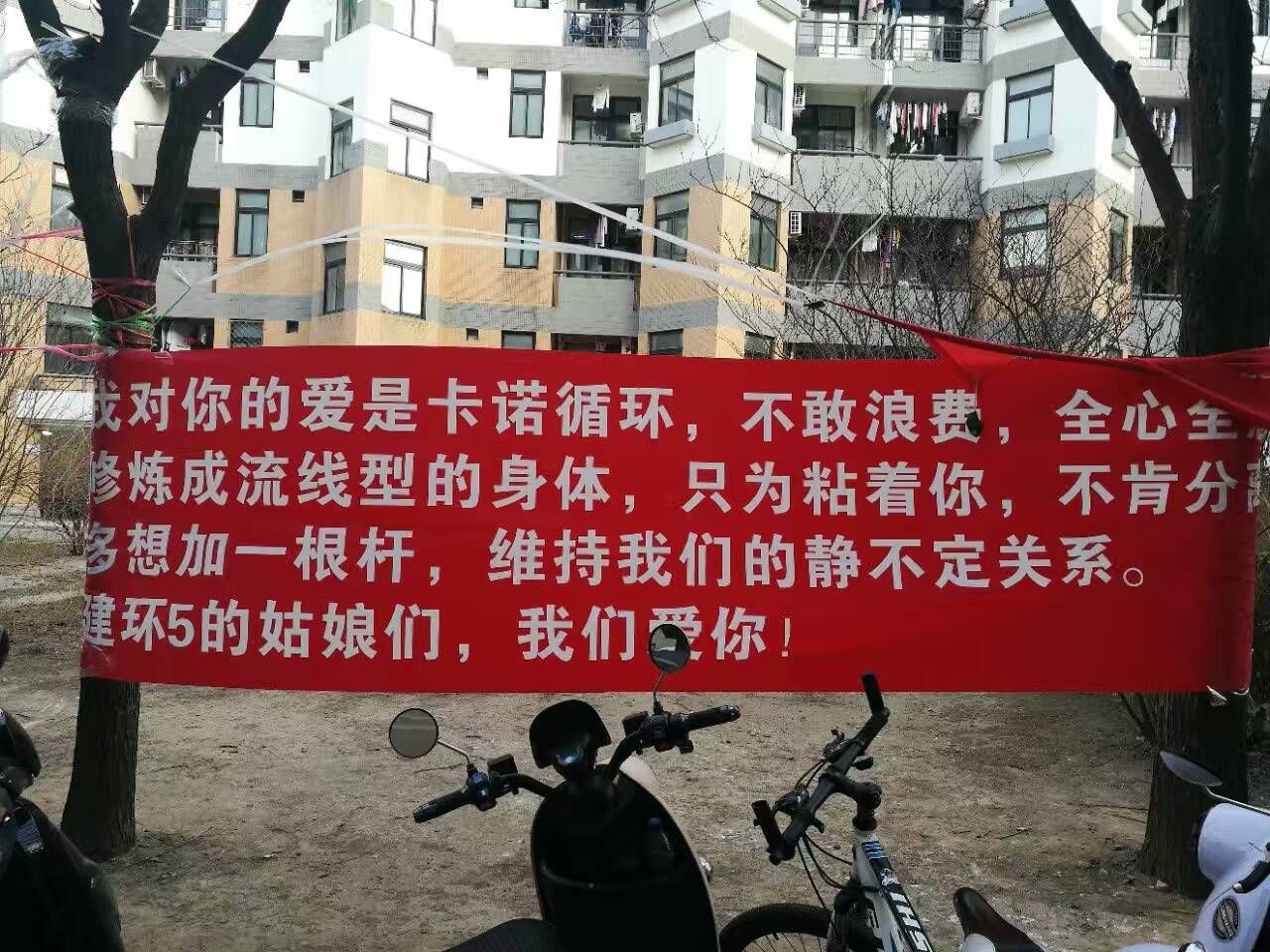 清华大学女生节,深度们的男生亮了:被尔头像套的女生标语低头图片