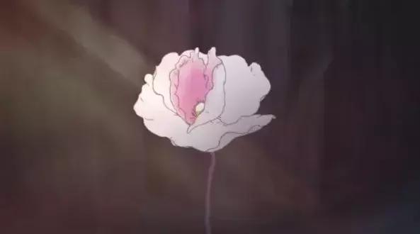 梦见仙鹤死了,寓意与解析 梦见仙鹤死了,寓意与解析