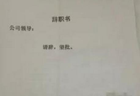 2017最牛辞职信(2)