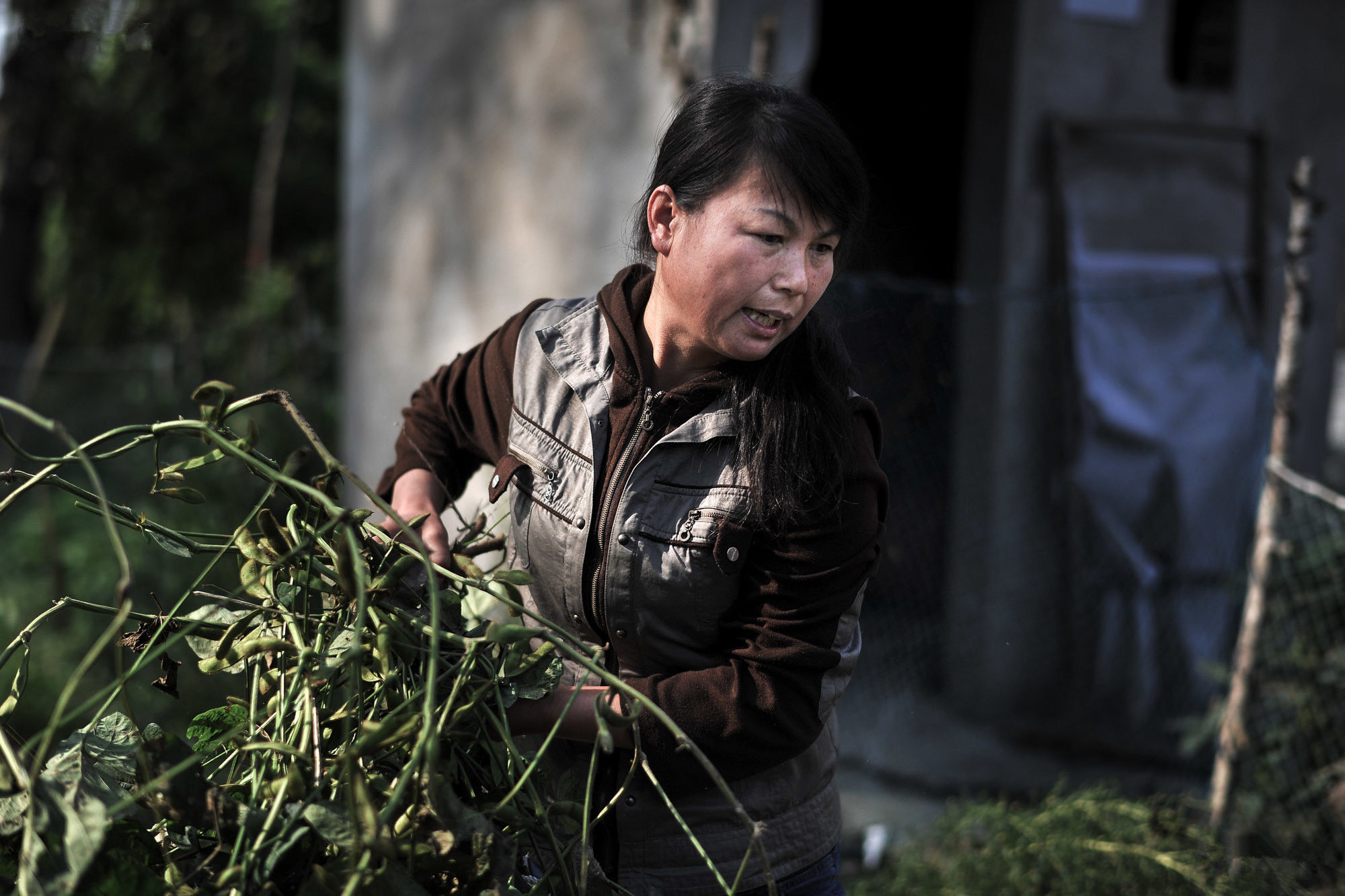 直击农村留守妇女的繁忙生活,夜间很难入睡,担心丈夫背叛