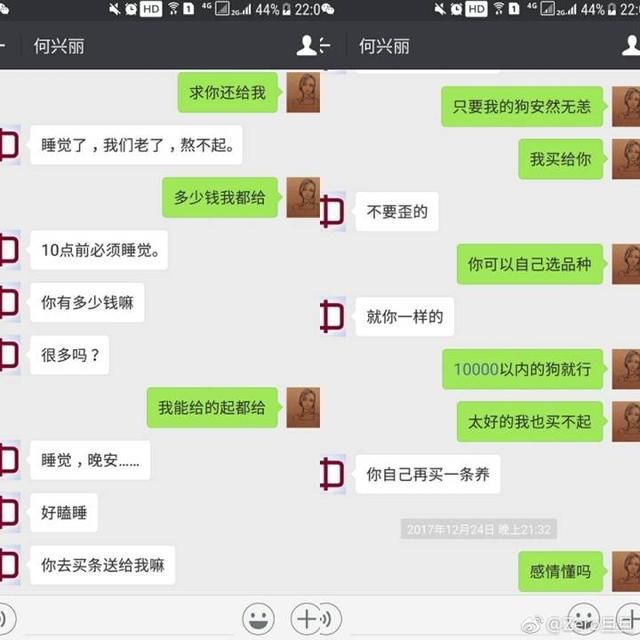 吴女士痛失爱狗后非常伤心,何某也被带进派出所,何某在派出所大哭道歉