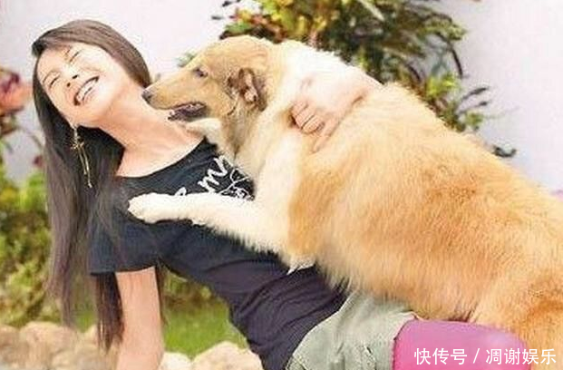 爱养狗是女性，溜狗的是女性，放弃狗的还是女性，狗伤人咬人，爱养狗的女性为什么不见踪影?