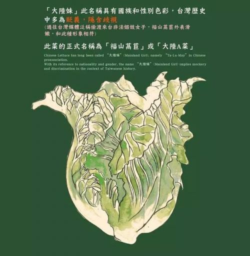 台湾学生发起点菜运动:烫青菜不再叫"大陆妹"