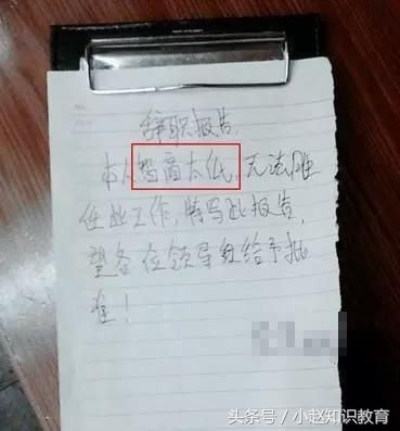 最搞笑的辞职信:我爱上了老板娘!挠头表情包主播图片