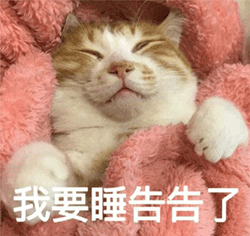 壁纸 动物 猫 猫咪 小猫 桌面 250_236 gif 动态图 动图