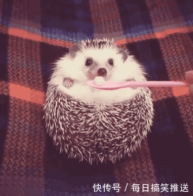 搞笑gif:妹子这样看着我,是不是对我很有好感啊