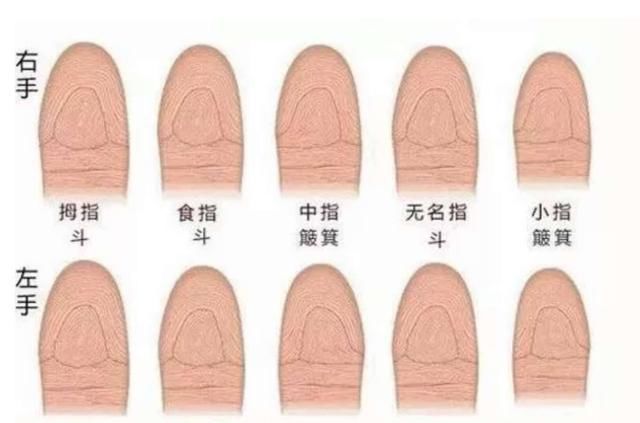 怎么知道我什么座