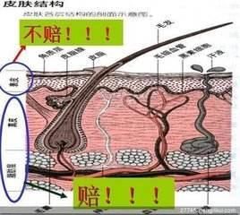 保险到底是不是骗人?我来告诉你内幕!