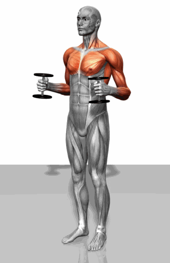 史上最全游泳核心力量锻炼gif图!