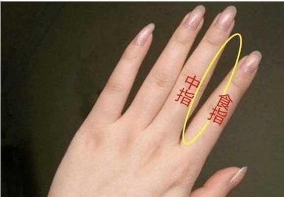 女人手掌有肉,还得手指圆润.