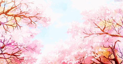 每到3/4月份便是赏樱花的最佳时间,听着那首樱花树下,一边赏花实在太