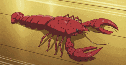 比手大的小龙虾 比脸大的波士顿龙虾 成桶成桶的哗啦一声倒上桌 分