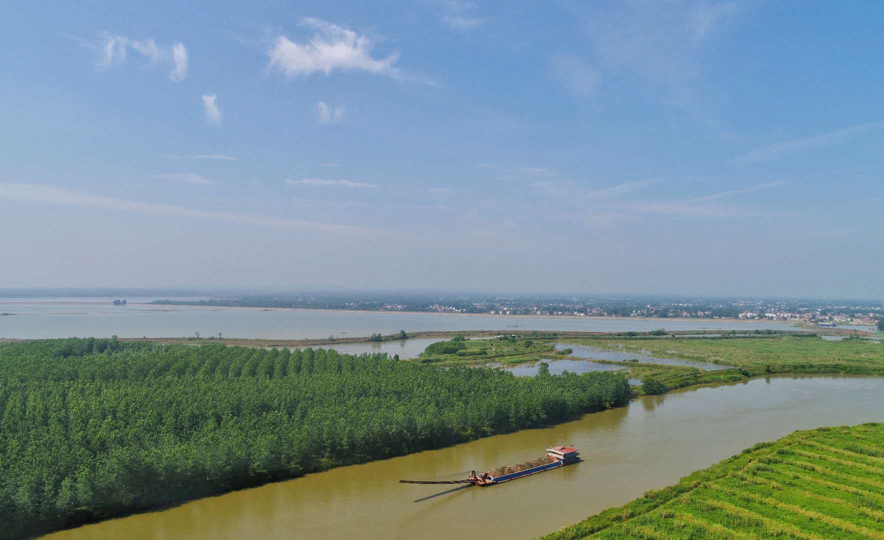 【美丽中国长江行】西洞庭湖湿地保护罕见一幕:林子小