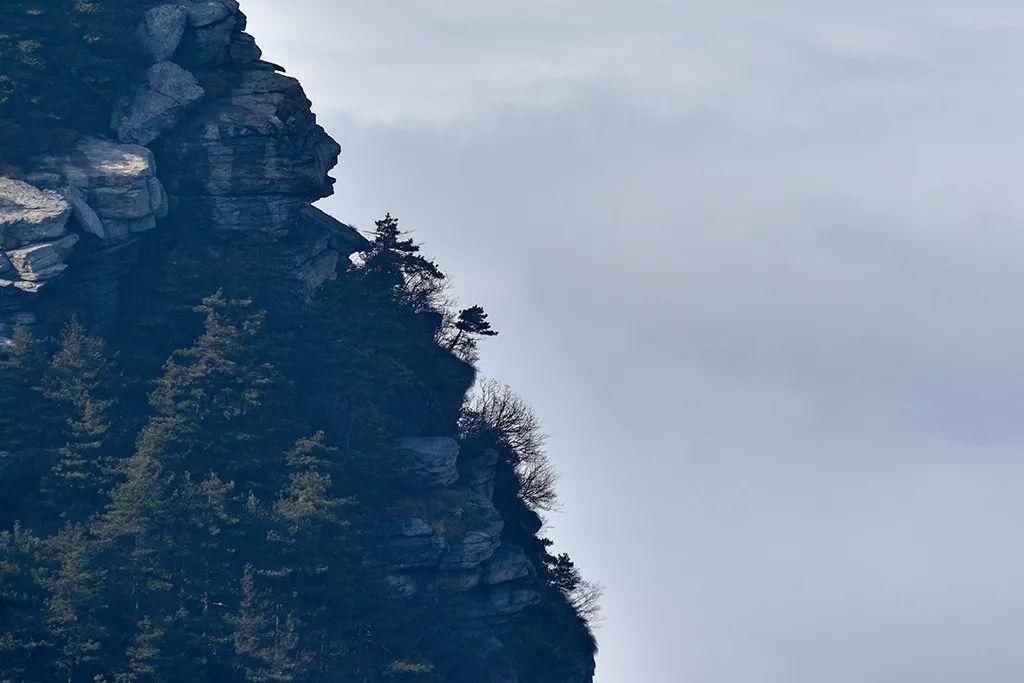 庐山现"佛光"云海美景,祥瑞奇观贺新春!