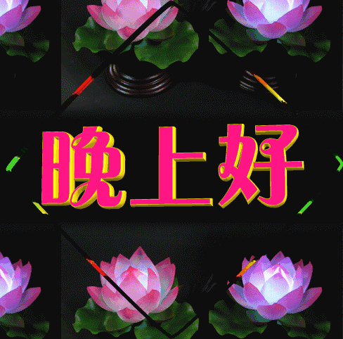 晚上好问候语图片 晚上好鲜花图片