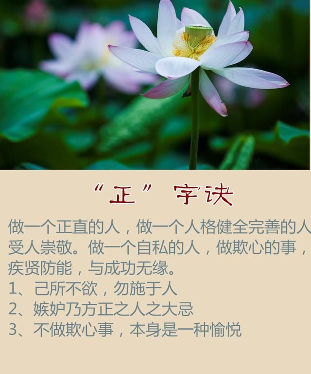 行得正,走得直,无愧于心,堂堂正正做人,踏踏实实做事