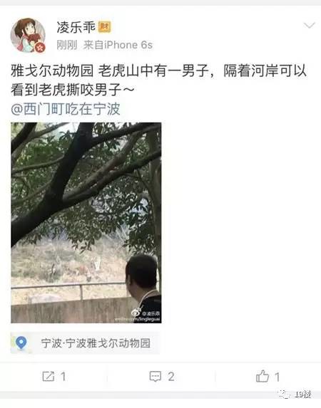 宁波一动物园发生老虎咬人事件,游客被叼走后遭啃咬,视频惊人!