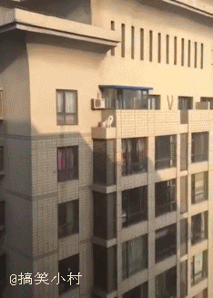 搞笑gif图:防火防盗防室友,总是不经意间把你出卖