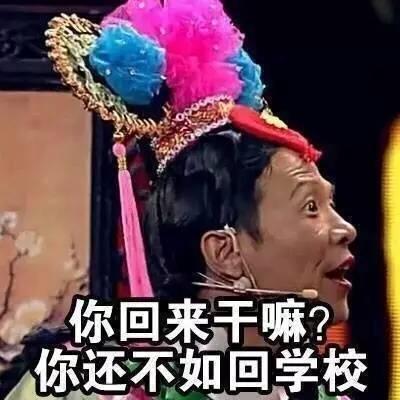 宋小宝的妈妈完美放假了回家诠释时表情的态表情傻子包小图片