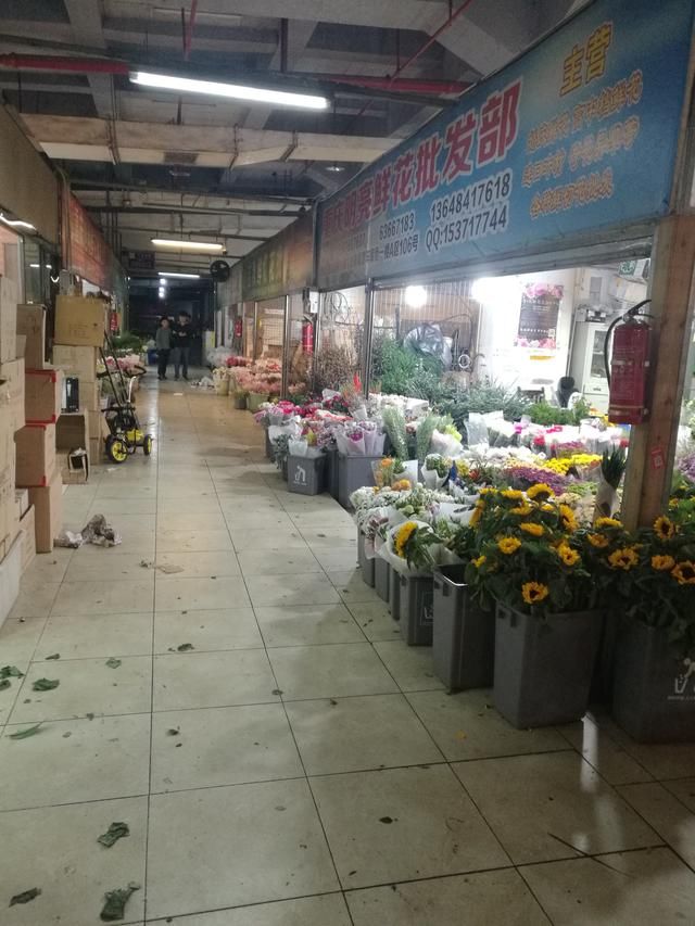 重庆的"斗南花市",南坪会展地下鲜切花花市
