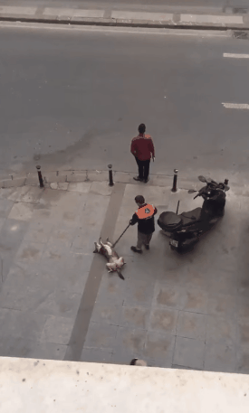 大王爆笑gif趣图:小龙虾都这样求你了,你还忍心吃人家