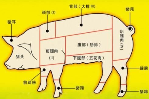 我们每天都在吃食品,猪肉的猪肉划分、该管理软件部位易企用进销存图片