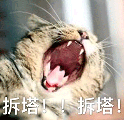 动物趣视为本期图片做了肉眼不可见的动态处理,长按保存到相册,或