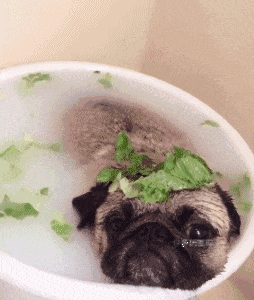 搞笑gif:这年头交女朋友一定要慎重,不然晚上会精神崩溃的