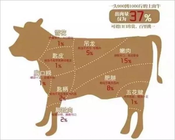 潮汕牛肉怎么区分是什么位置的牛肉?