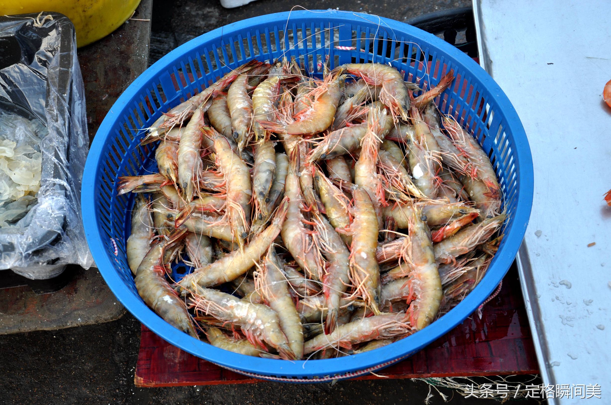 实拍青岛海鲜大市场 探访这8种青岛大虾 您都吃过吗