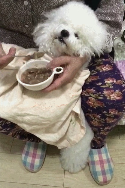 壁纸 动物 狗 狗狗 416_624 竖版 竖屏 手机 gif 动态图 动图