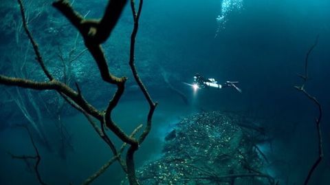 潜水爱好者潜入百尺深天然水洞,发现水底河流与森林奇景