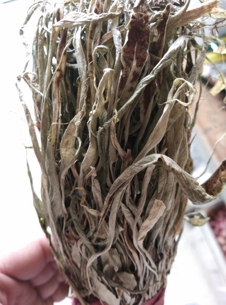 中医教你一招断根,连服三天就好啦!