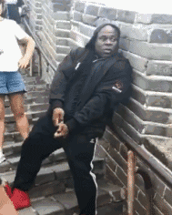 壁纸 动物 狗 狗狗 189_236 gif 动态图 动图