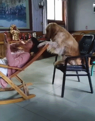 304_388竖版 竖屏gif 动态图 动图