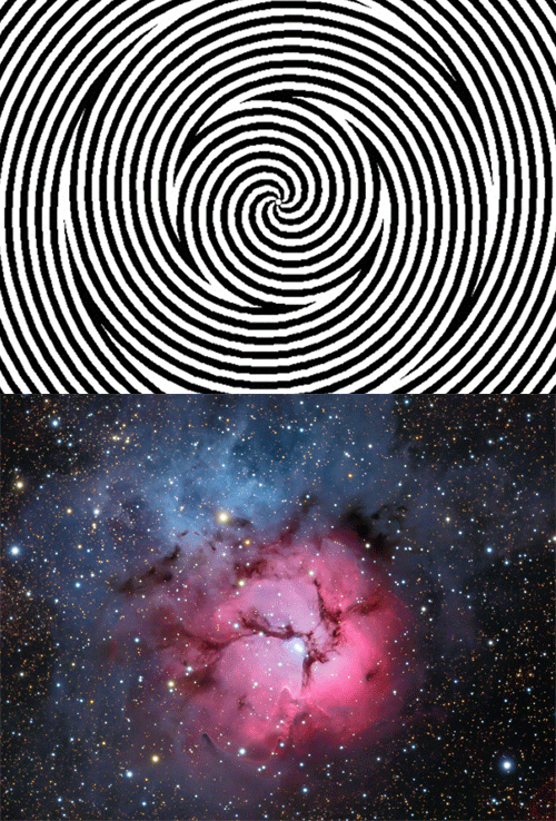 500_738 竖版 竖屏 gif 动态图 动图