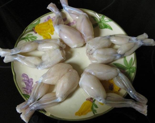 牛蛙腿的肌肉里,有大量的寄生虫裂头蚴,还有可能有绦虫.