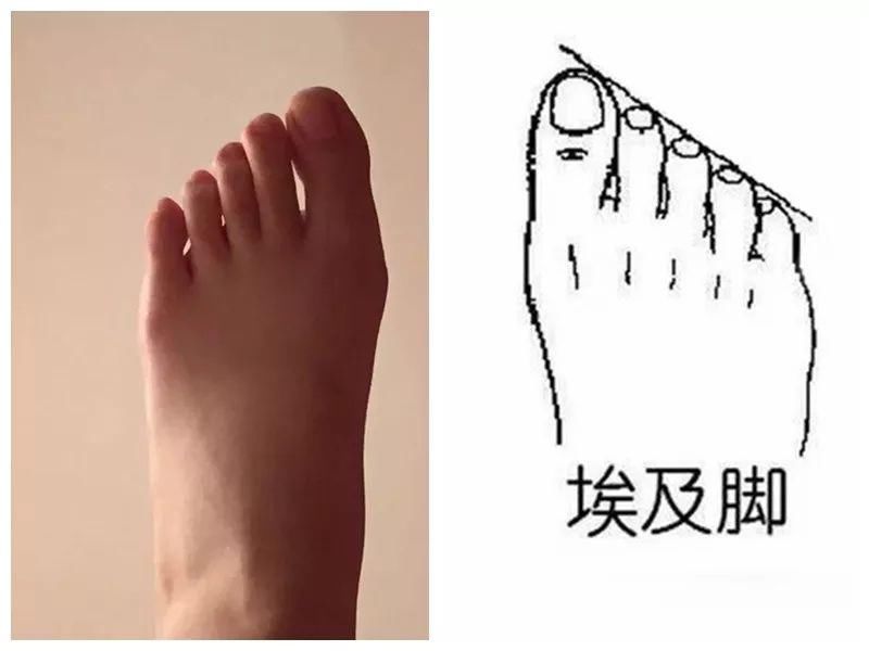 能不能看出什么脚型 生活