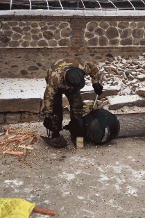 搞笑gif:好看的皮囊千篇一律,有趣的灵魂不忍直视