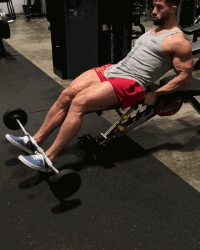 健身房练腿动作大全,15个动作找到强力泵感,别只练杠铃深蹲!