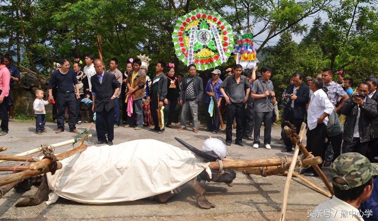 28岁牛王去世,500多人送葬,16壮汉抬棺,造墓立碑用茅台酒祭祀