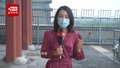 正阳门雨燕幼鸟初长成 练习飞翔准备迁徙