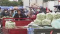 菜价季节性回落 牛羊肉批发价创近5年新低